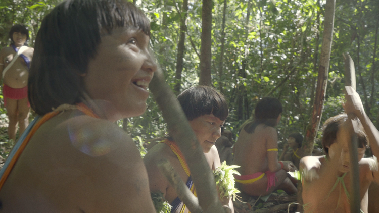 Três curtas Yanomami
